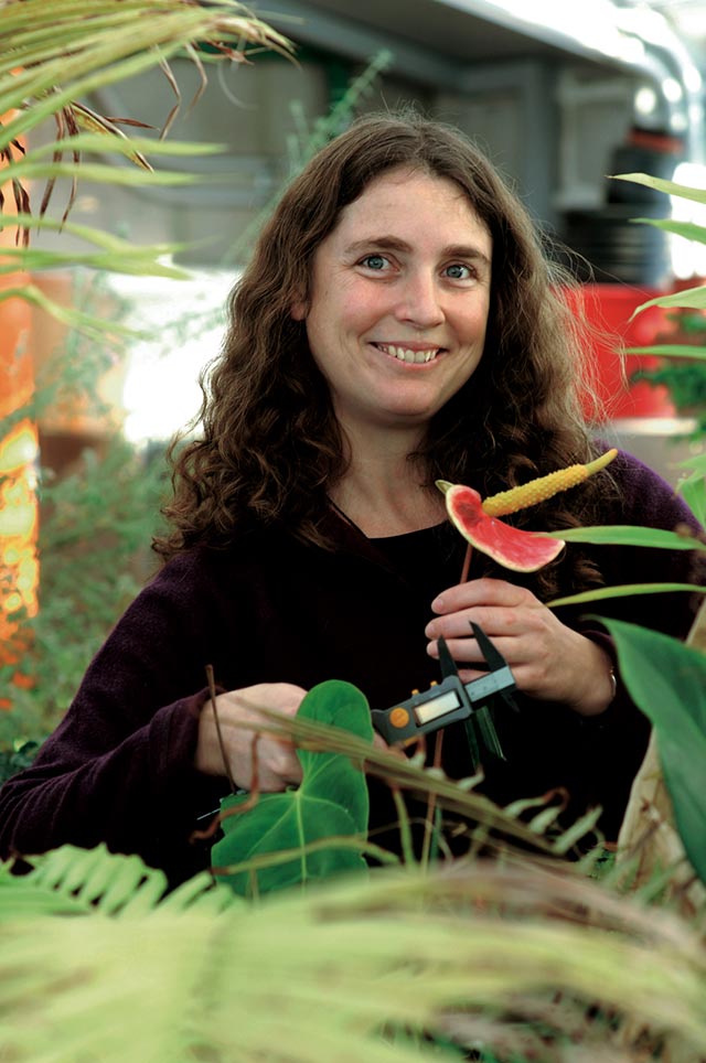 Dr Angela Moles, The University of New South Wales